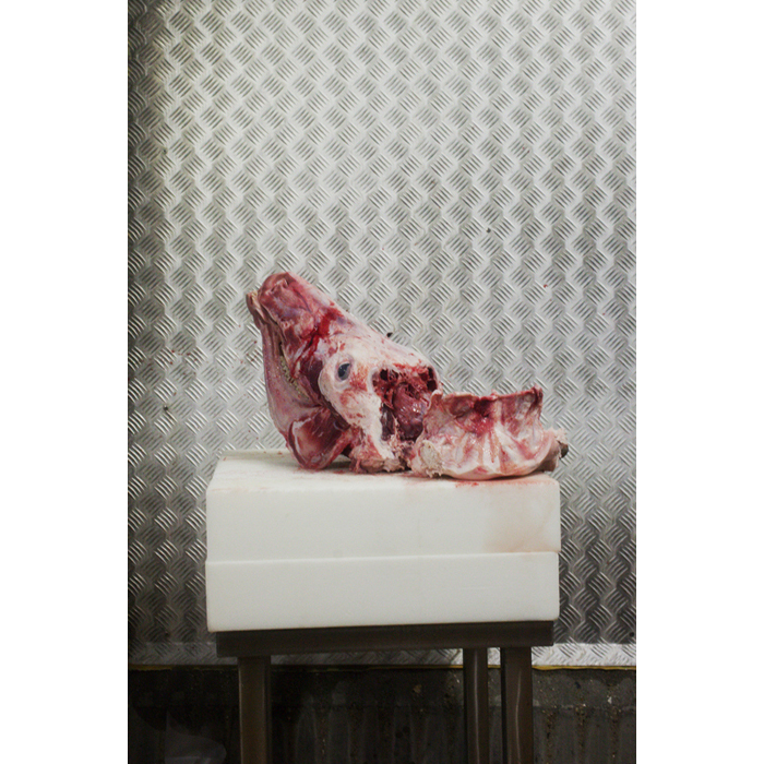 rungis viande tete de veau cervelle ecorche © Rémy Artiges - Photographie