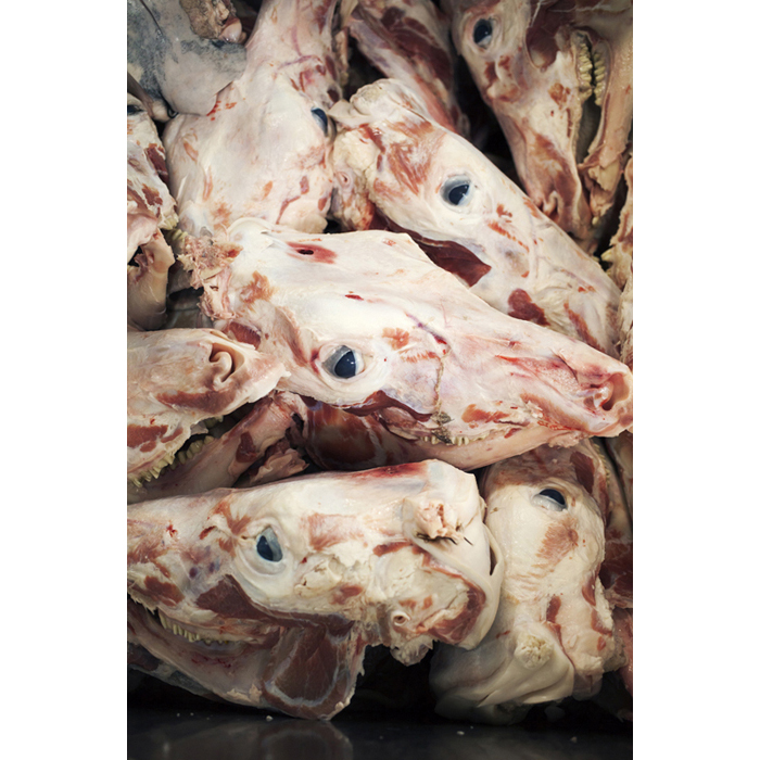 rungis viande tete de veau accumulation © Rémy Artiges - Photographie